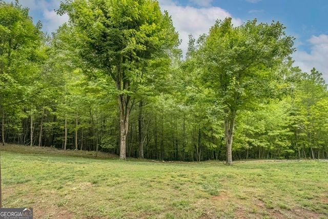 477 Bootlegger Road, Morganton, GA 30560