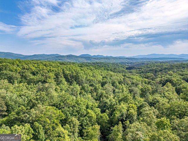 477 Bootlegger Road, Morganton, GA 30560