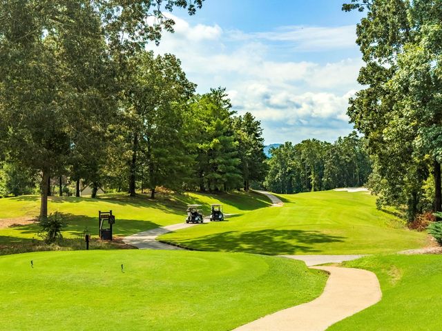 59 Briarwood Drive, Ringgold, GA 30736