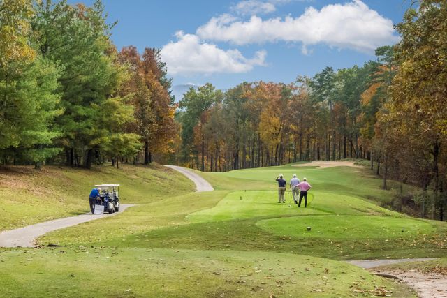 59 Briarwood Drive, Ringgold, GA 30736