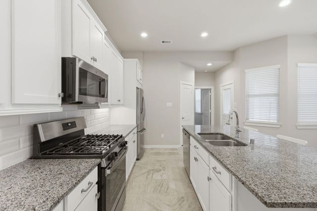 17766 Tree Of Heaven, Conroe, TX 77385