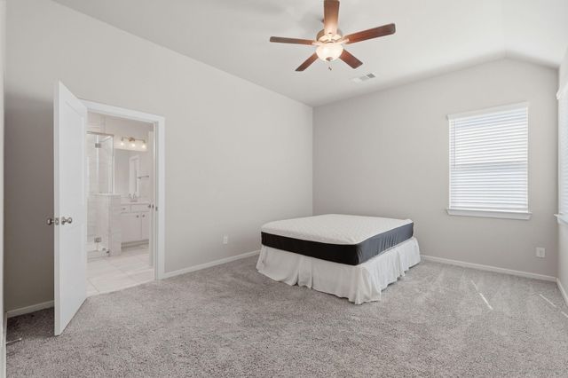 17766 Tree Of Heaven, Conroe, TX 77385