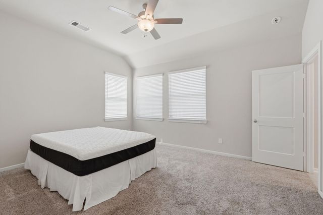 17766 Tree Of Heaven, Conroe, TX 77385