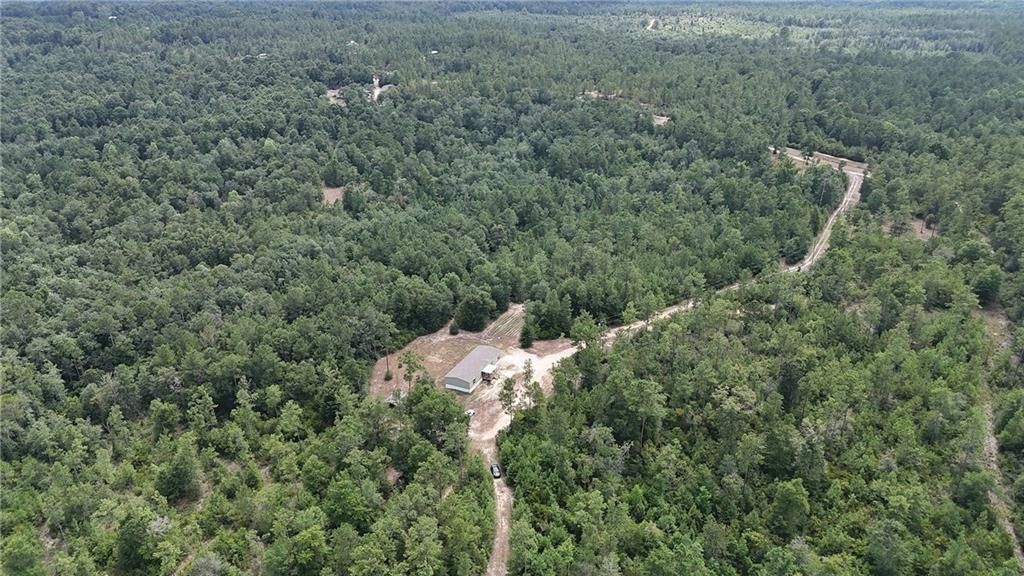 7930D Chunchula-Georgetown Road, Chunchula, AL 36521 — photo 5