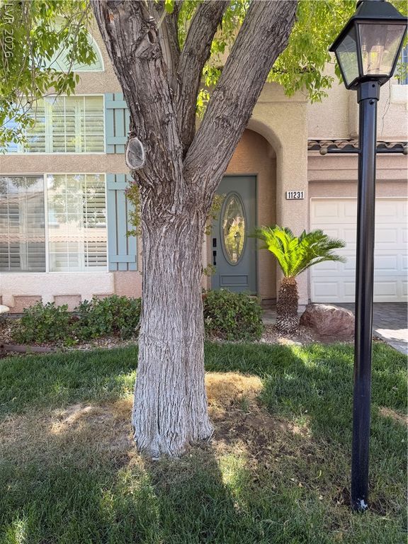 11231 Playa Bonita Avenue, Las Vegas, NV 89138