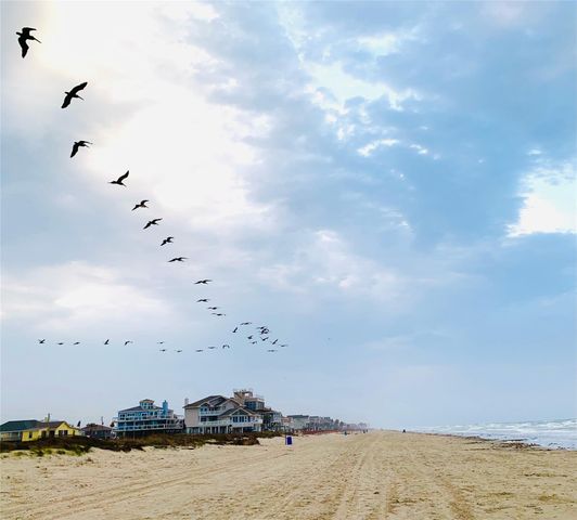12917 John Reynolds Road, Galveston, TX 77554