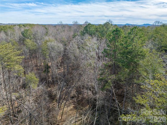 0000 High Meadows Drive 57, Mill Spring, NC 28756