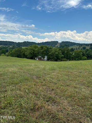 208 Buffalo Road, Bluff City, TN 37618