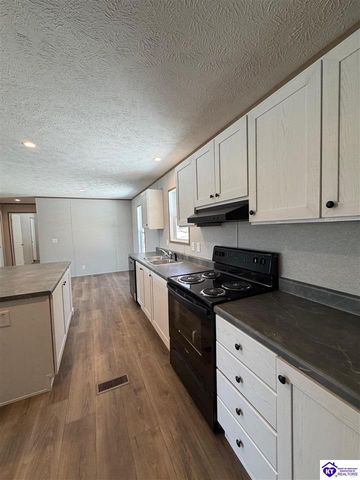 110 Persimmon Court, Vine Grove, KY 40175