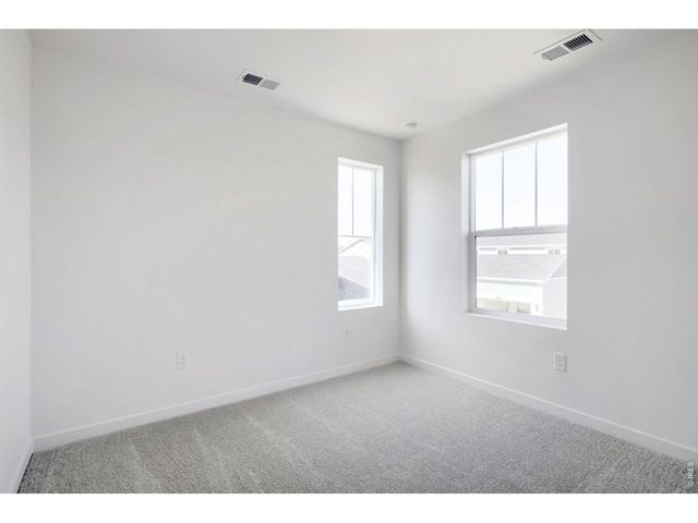 6415 Masked Lark St, Fort Collins, CO 80528