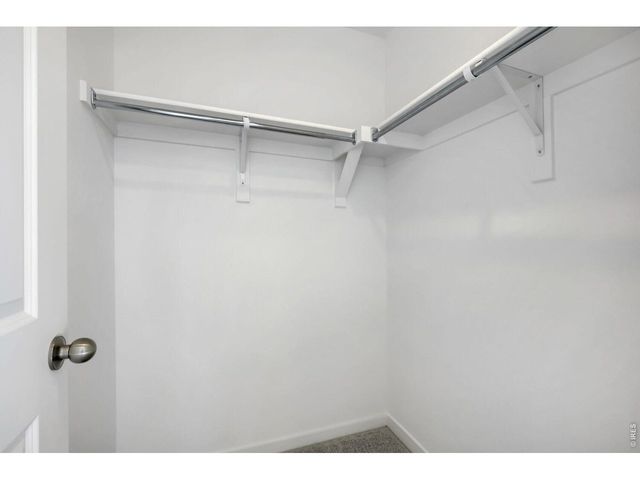 6415 Masked Lark St, Fort Collins, CO 80528