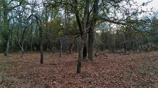 - Cr 218, Cameron, TX 76520