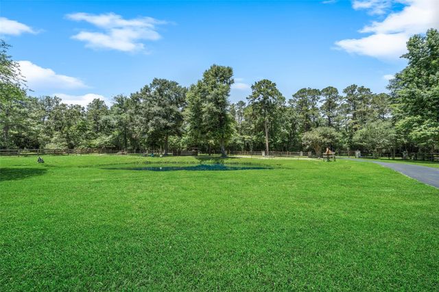 12300 Cedar Lane, Willis, TX 77378