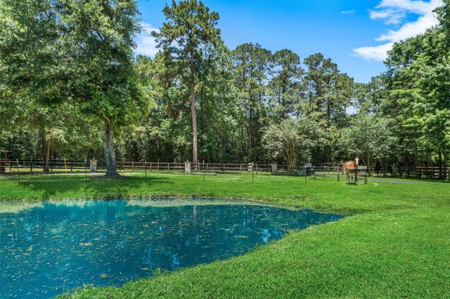 12300 Cedar Lane, Willis, TX 77378