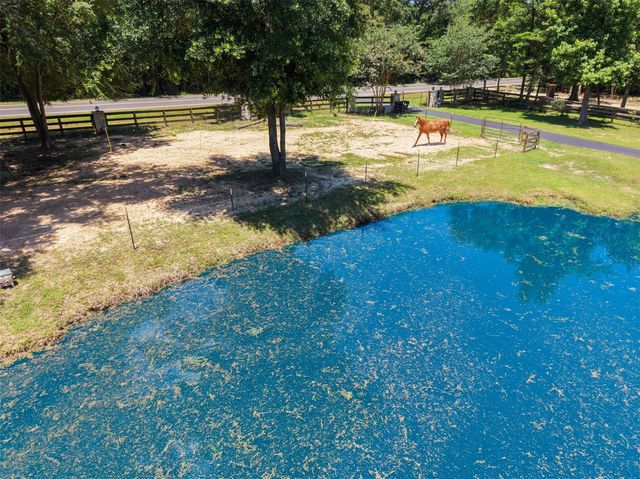 12300 Cedar Lane, Willis, TX 77378