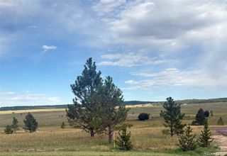 18899 Cherry Springs Ranch Drive, Monument, CO 80132