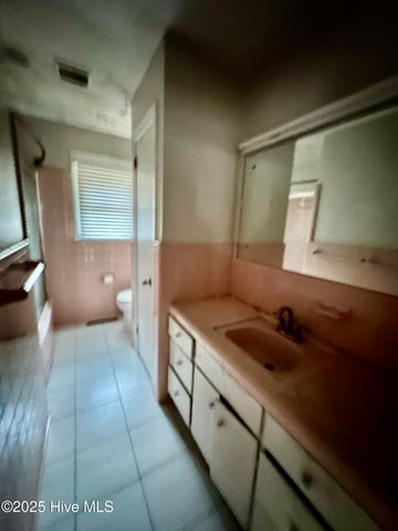 219 Old Us Highway 17, Windsor, NC 27983