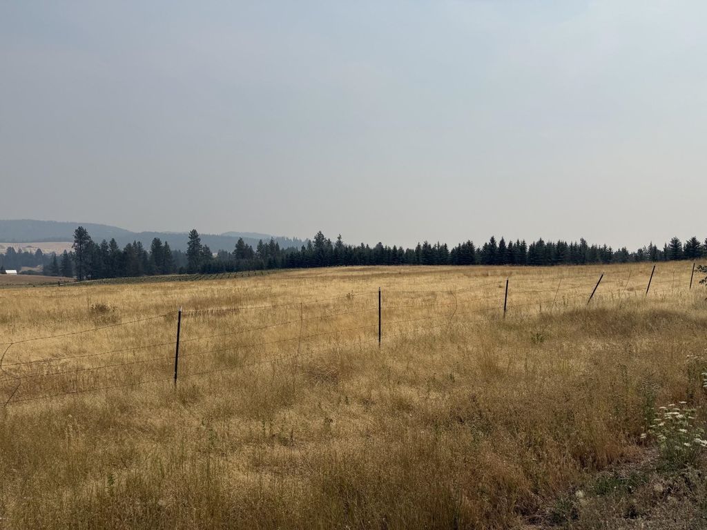 111XX S Spruce Tree Ln, Mica, WA 99023 photo 1