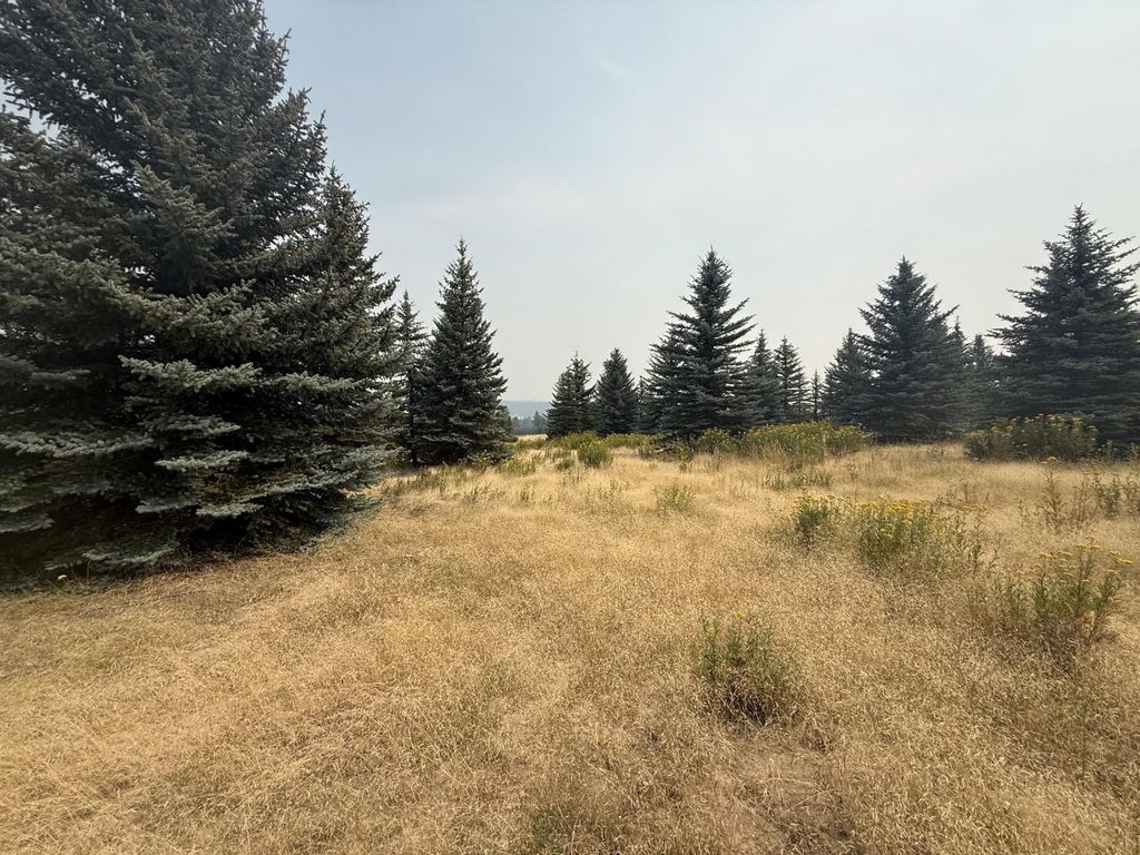 111XX S Spruce Tree Ln, Mica, WA 99023 photo 2
