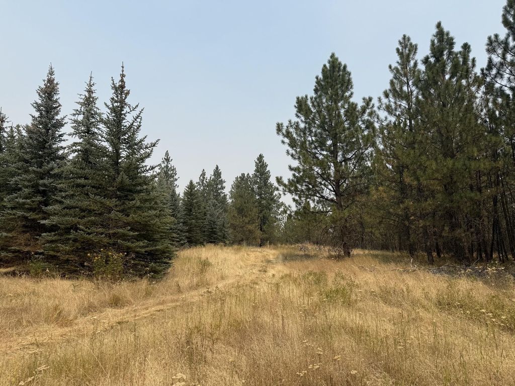 111XX S Spruce Tree Ln, Mica, WA 99023 photo 5