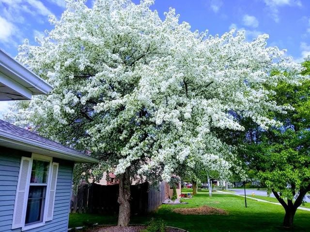 1764 HIGHVIEW STREET, De Pere, WI 54115