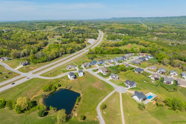 9119 Sir Boon Court, Harrison, TN 37341
