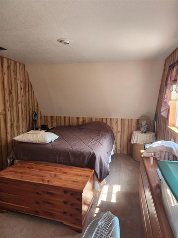 824 Stitt Lane, Mio, MI 48647