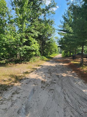 824 Stitt Lane, Mio, MI 48647