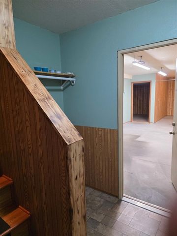 824 Stitt Lane, Mio, MI 48647