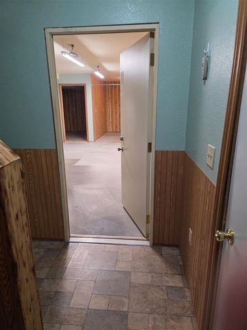 824 Stitt Lane, Mio, MI 48647