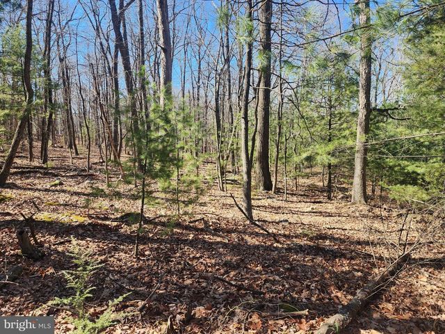 1080 COVE MOUNTAIN RD, Mathias, WV 26812