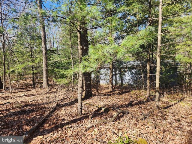 1080 COVE MOUNTAIN RD, Mathias, WV 26812