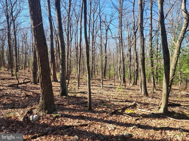 1080 COVE MOUNTAIN RD, Mathias, WV 26812