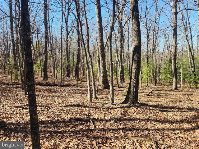 1080 COVE MOUNTAIN RD, Mathias, WV 26812