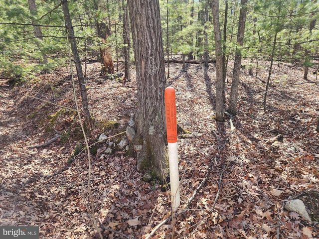 1080 COVE MOUNTAIN RD, Mathias, WV 26812