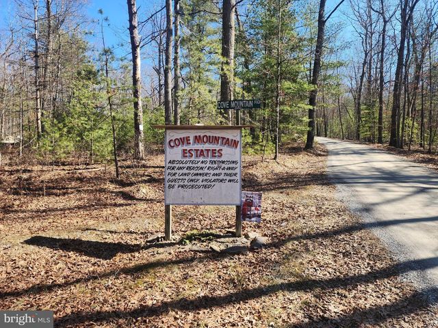 1080 COVE MOUNTAIN RD, Mathias, WV 26812