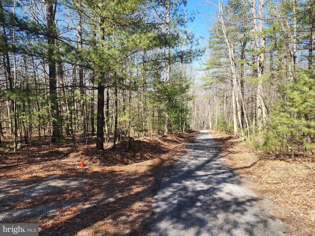 1080 COVE MOUNTAIN RD, Mathias, WV 26812