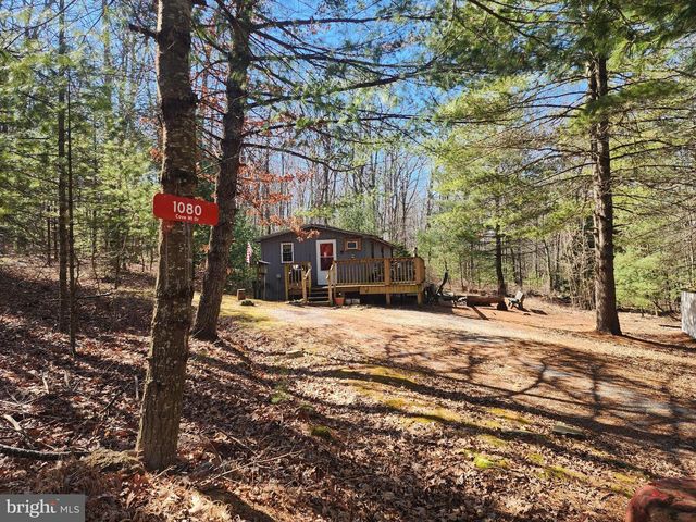 1080 COVE MOUNTAIN RD, Mathias, WV 26812