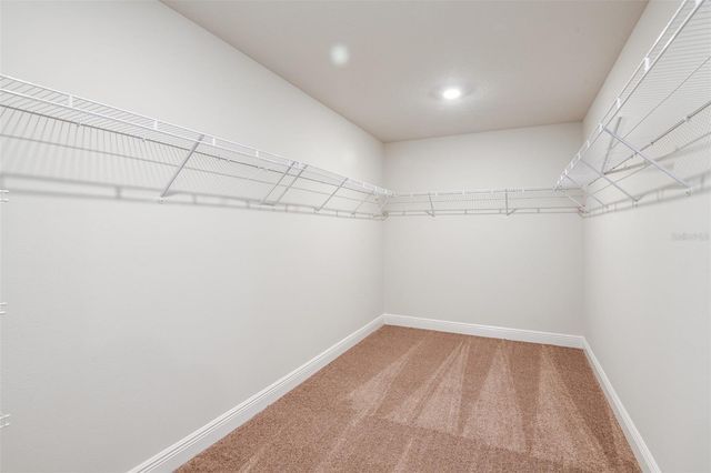 33477 HAMMOCK BEACH WAY, Wesley Chapel, FL 33545