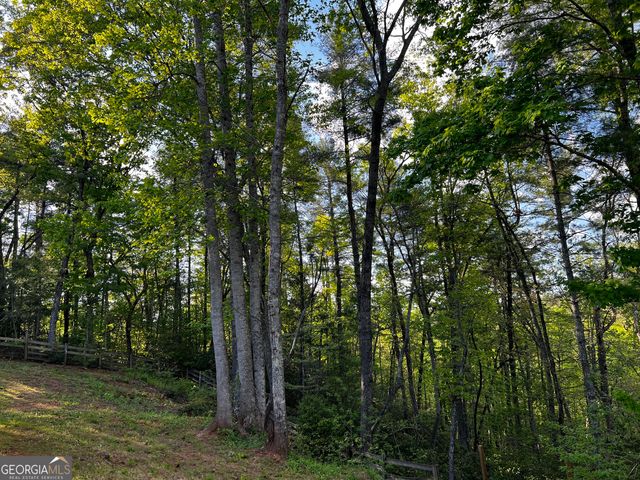 221 Muscadine Road, Dahlonega, GA 30533
