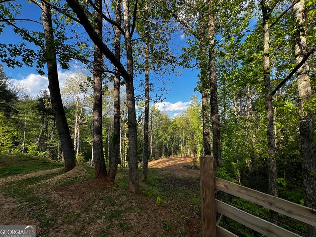 221 Muscadine Road, Dahlonega, GA 30533
