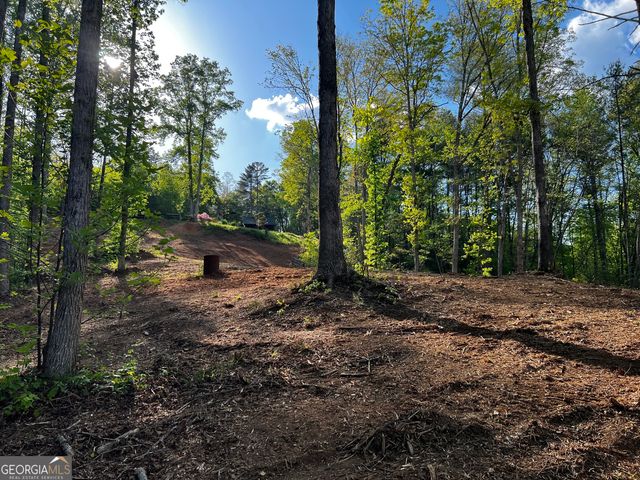 221 Muscadine Road, Dahlonega, GA 30533