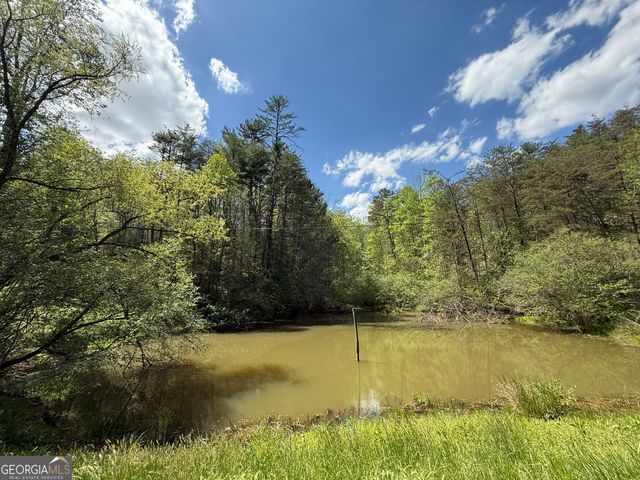 221 Muscadine Road, Dahlonega, GA 30533