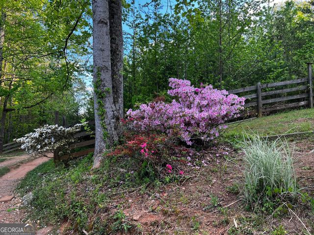 221 Muscadine Road, Dahlonega, GA 30533