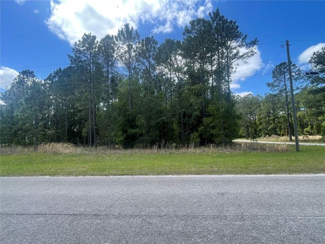 200 FISHER ROAD, Ocklawaha, FL 32179