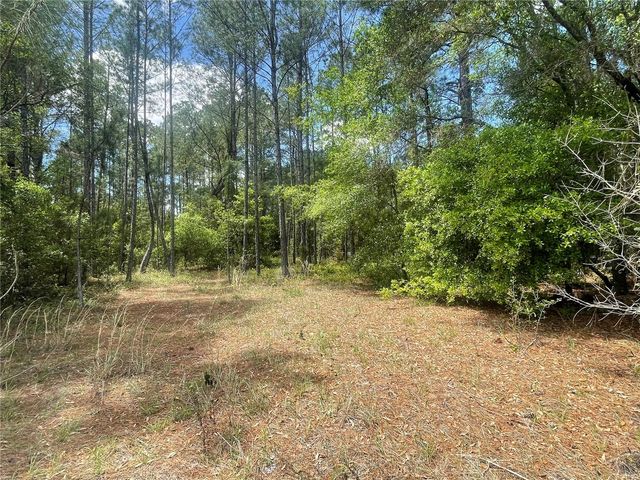 200 FISHER ROAD, Ocklawaha, FL 32179