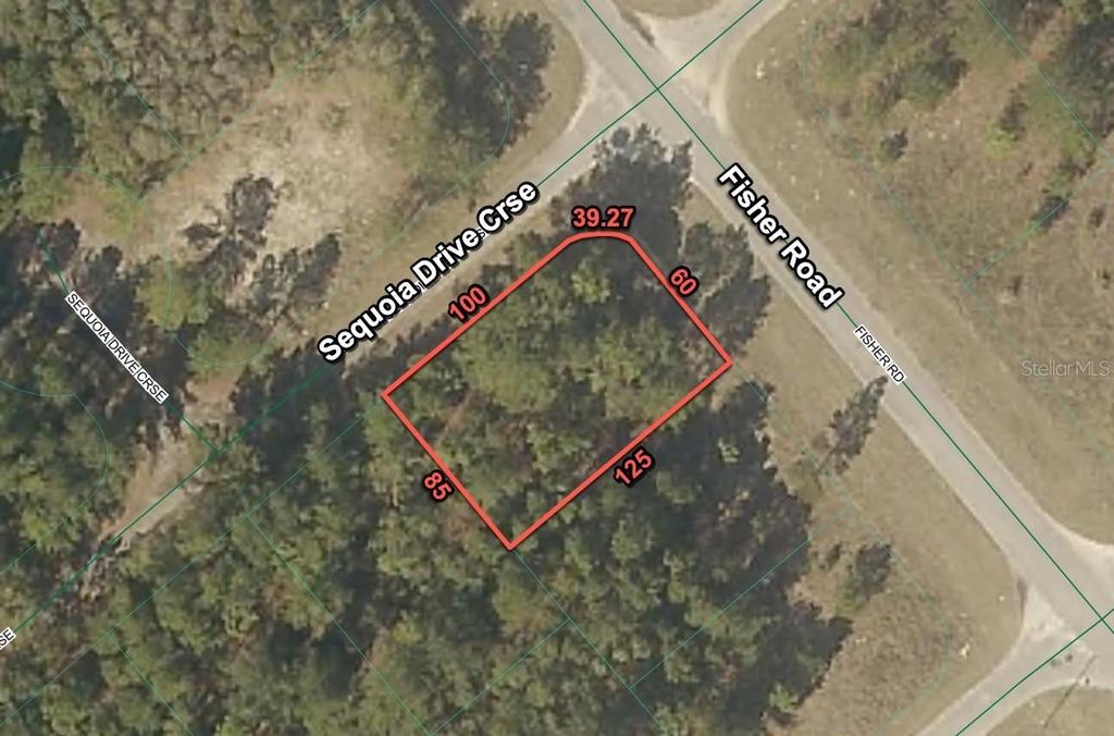 200 FISHER ROAD, Ocklawaha, FL 32179