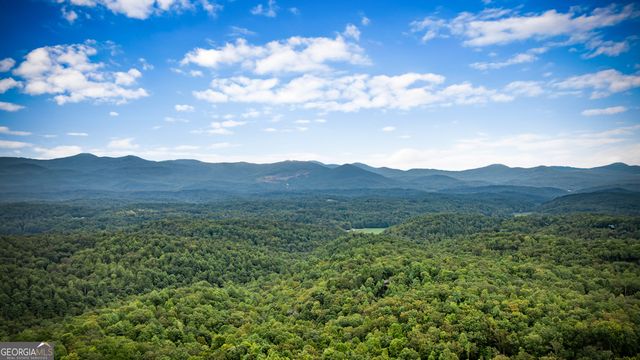 132 New Berry Street, Ellijay, GA 30540