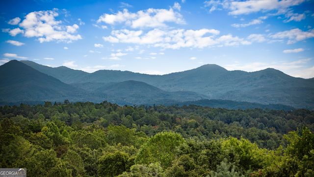 132 New Berry Street, Ellijay, GA 30540