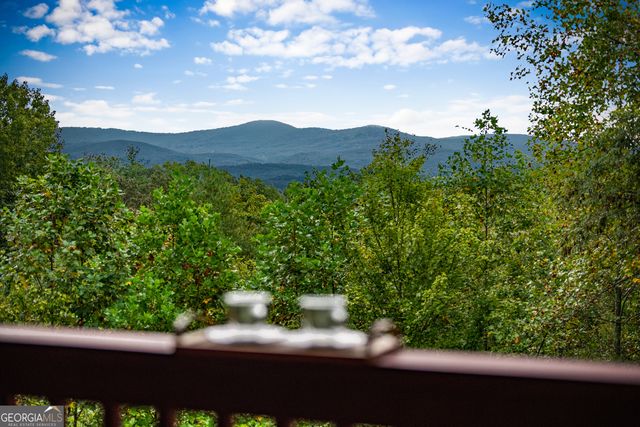 132 New Berry Street, Ellijay, GA 30540